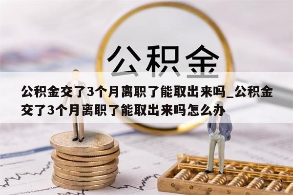 公积金交了3个月离职了能取出来吗_公积金交了3个月离职了能取出来吗怎么办